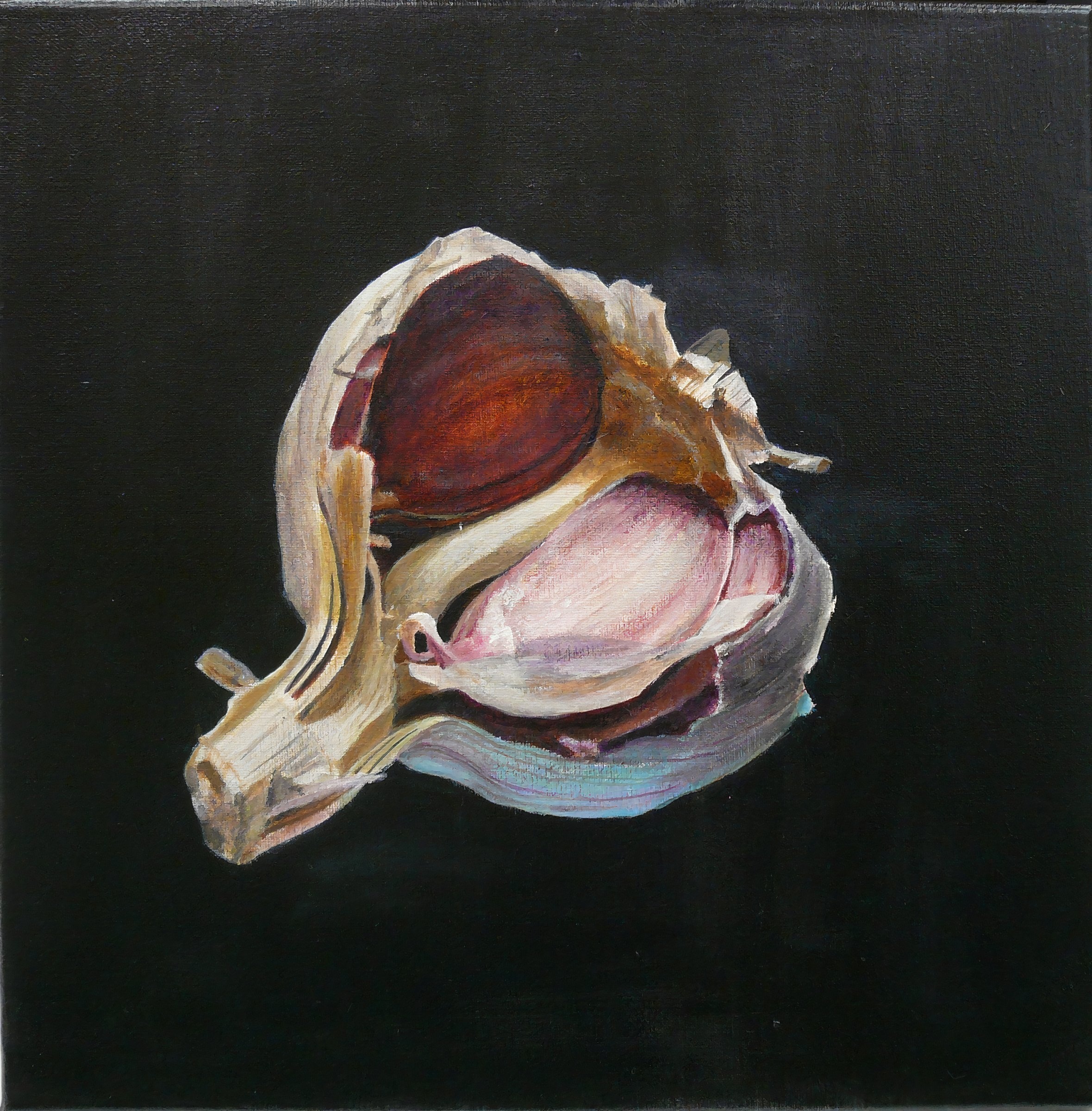 Schilderij Knoflook